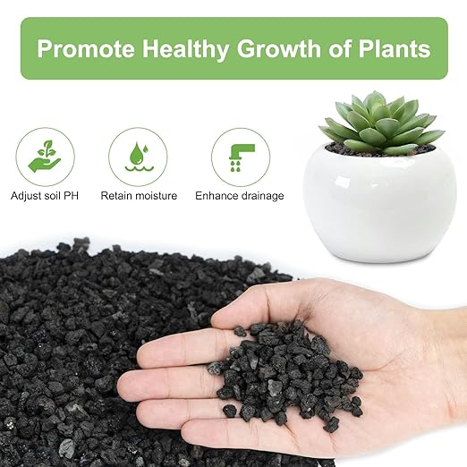 2.5lbs Lava Rocks for Plants, 1/5 Inch Black Gravel for Succulent, Cactus, Bonsai Tree, Pure Volcanic Rocks, Top-Dressing, Good Drainage