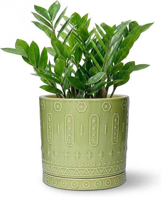 Ceramic Pots for Plants, 8 Inch Plant Pot with Drainage Hole and Tray, Round Planters for Indoor Plants, Modern Flower Pot, Decorative Planter, Living Room Decor, Gardening Gifts, Green