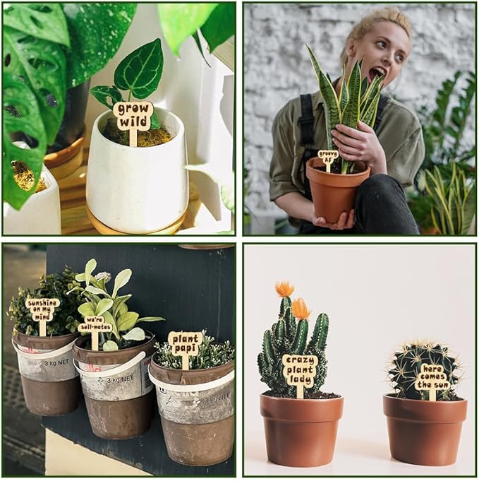 arricraft 15 Pcs Joke Punny Plant Labels, Wooden Markers T Type Tags Garden Labels with Printed Funny Phrase Wood Garden Stakes for Indoor and Outdoor Potted Seed Vegetable Unique Funny Gifts