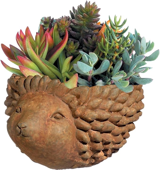Classic Home and Garden Cement Buddies Animal Planter - Cute Desk Decoration - UV Coated Animal Vase w/Drain Plug - Succulent Plant Pot for Indoor/Outdoor Use (Hedgehog, Rust, Large)
