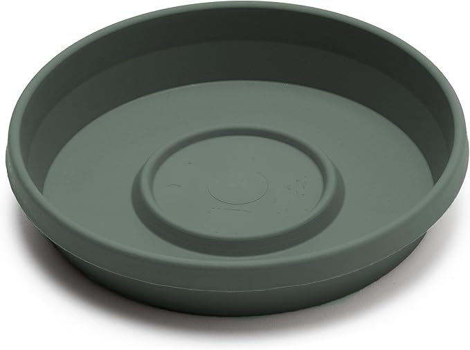 Bloem Terra Resin Saucer Tray: 4.75" Bottom Width - Basil Green - Matte, Durable, Ribbed Bottom, Indoor and Outdoor, Fits 6" Terra Pots