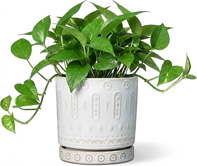 Ceramic Planter, 6 Inch Pot for Plants with Drainage Holes and Tray, Round Plant Pots for Indoor Outdoor Plants, Boho Decorative Flower Pots, Home Room Decor, Gifts for Women, White