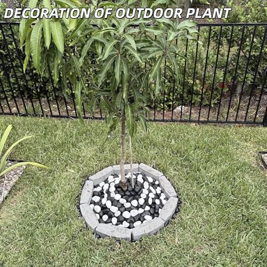 18lb Black River Rocks for Plants, 1-3 Inch Pebbles for Indoor Plants, Polished Garden Rocks Outdoor Landscaping, Decorative Stones for Vases, Succulents, Aquarium, Walkways