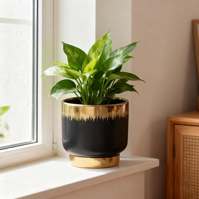 Black Gold Ceramic Succulent Plant Pots Floral Small Plant Pots Indoor Modern Round Decorative Indoor-Outdoor Garden Pots with Drainage Holes - Plants Not Included 4.33 x4.33 Inch