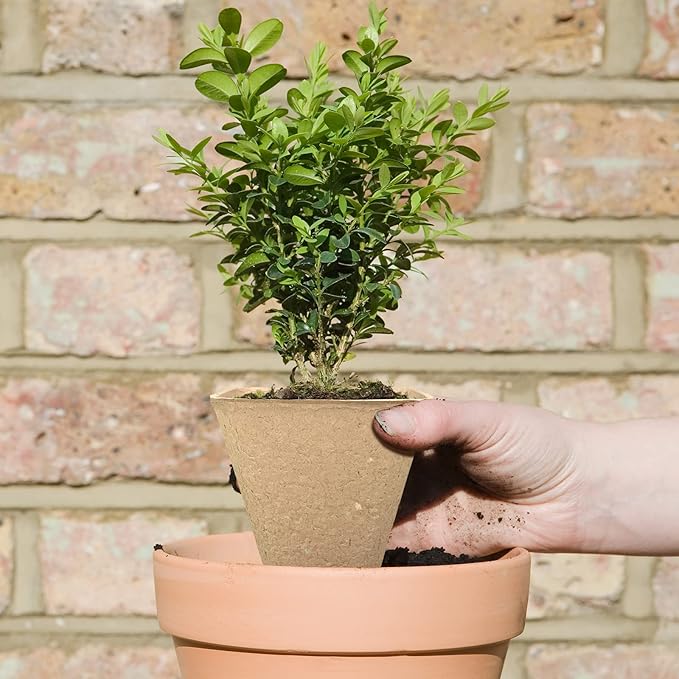 3T GROUP 120 Pack 3.15 Inch Square Small Plant Pots,Disposable Flower Pots,Mini Compostable Pot for Plant,Biodegradable Planting Pot Cups with 100 Labels,Tool,Pen