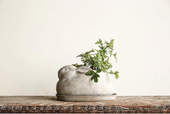 Creative Co-Op Cement Rabbit Planter with Saucer (Set of 2 Pieces)