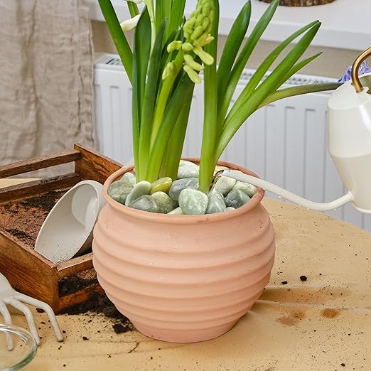5LB Succulent Jade Pebbles for Indoor Plants, 0.7-1.2 Inch Natural Polished Stones,Decorative River Rocks for Succulent, Vase, Flowerpot, Landscaping, Outdoor Garden and Planters
