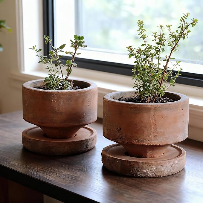 Yungyan 2 Set 6 Inch Rustic Terracotta Plant Pot with Drainage Saucer Vintage Breathable Clay Planter Farmhouse Flower Pot with Distressed Finish for Flowers Succulent Cactus Modern Home Garden Decor
