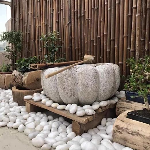 10 lbs Large River Rocks for Landscaping, 2-3 inch Polished White Pebbles for Plants, Decorative White Stones for Planters Vase Aquarium and Outdoor Garden Rocks
