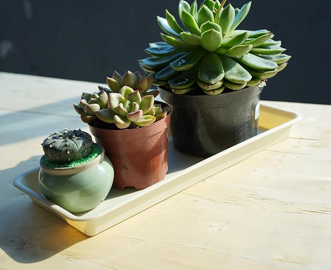 4 Pack of Plastic Plant Tray Saucer Rectangular 16 inch, Plant Trays Saucers for Indoors Outdoor, Plant Water Drip Tray for Flower Pot Planter, Windowsill Plant Tray (7.0 X 16.1'', Beige)