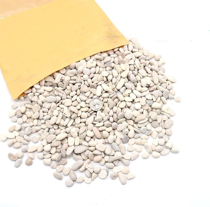 Rocks - Cream White Decorative Pebbles, 3/8 Inch - 10 lbs. Landscaping and Garden Stones, Suitable for Succulents and Pots