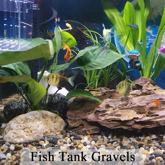 10 lbs Pea Gravel for Landscaping,1/4 Inch Aquarium Gravel. Decorative River Rocks for Fish Tank Succulent Vase Cactus Bonsai Plant Soil Cover and Outdoor Landscaping Rocks