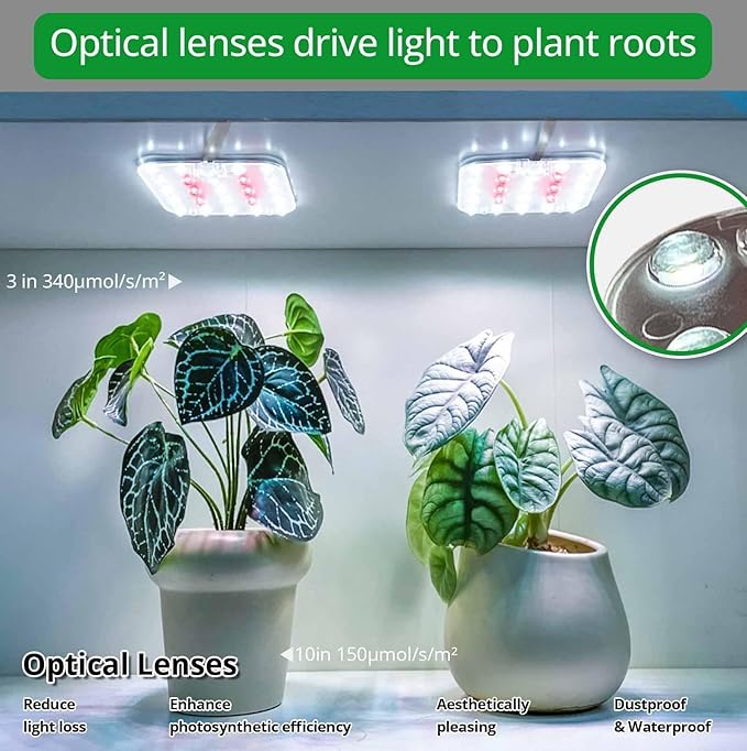 DOMMIA Full Spectrum LED Grow Light for Indoor Plants, 2 Panels 10W with 6/12/16h Timer Dimmable Plant Lights for Flower Veg Plant Growth USB, Daylight White, 2-Pack