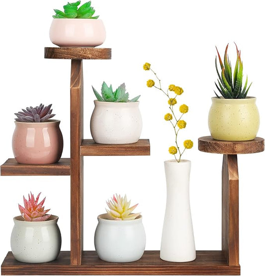Wood Desktop Plant Stand - 5 Tier Tabletop Plant Shelf Windowsill Flower Shelf Holder Indoor, Small Succulent Herb Display Rack for Home Office Living Room Bedroom Decoration