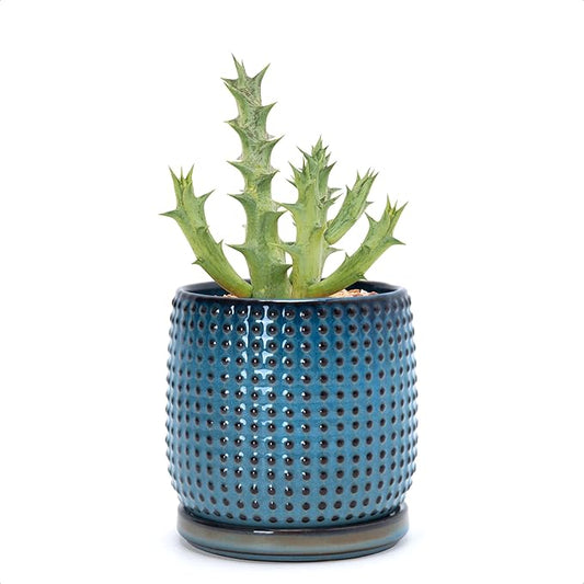 D'vine Dev 4 Inch Ceramic Beaded Stoneware Planter Pot - Flower Pot with Drainage Holes and Saucers for Indoor Succulent Plants or Flowers, Ocean Teal, 27-C-Z-8
