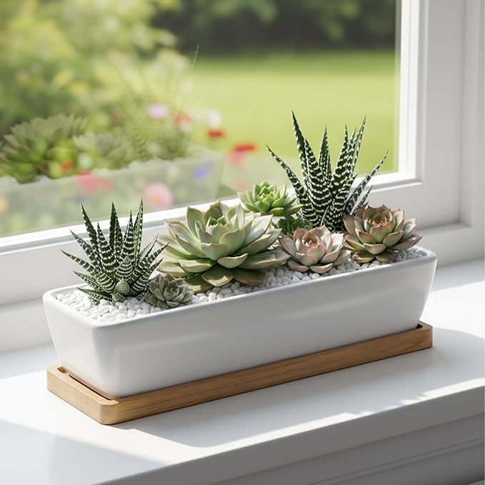 White Ceramic Succulent Planters, Indoor and Outdoor Succulent Planters, Set of 2 Cactus Containers, Bonsai Pots, Flower Pots with Drainage Hole and Bamboo Bowl (No Plant)