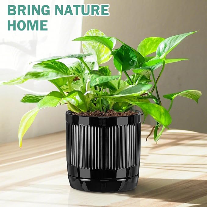 Vanavazon 6 Inch Glazed Ceramic Plant Pots Indoor with Drainage Hole and Saucer, Cylinder Indoor Planters for All House Plants, Modern Decor for Home & Office, Set of 2 (Black)