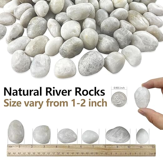 5LB White River Rocks, High Polished 1–2 inch Decorative Pebbles for Indoor Plants, Aquarium & Fish Tank Rocks, Garden Landscaping Stones, Vase Fillers, Lava Rocks for Plants & Pathway Decor