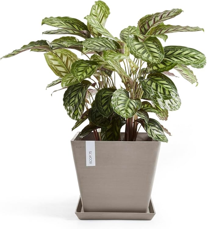 Ecopots Rotterdam Durable Modern Square Indoor/Outdoor Recycled-Based Composite Flower Planter, Taupe, 12"