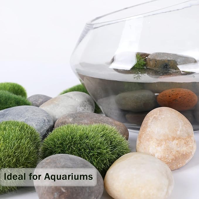 20LB Smooth Pebbles River Rocks for Landscaping, 100% Natural Hand-Picked Premium Decorative Pebbles, Ideal for Garden Landscaping, Home Decor, Aquariums, Painting,Mixed Colors