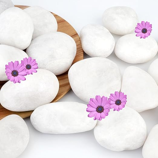 NUPICK 3lb White River Rocks for Plants Indoor, 2-3Inch White Pebbles for Vases Fillers, Decorative Gravel for Fish Tank, Natural Polished Stones for Succulent, Bonsai, Landscaping, Bird Baths