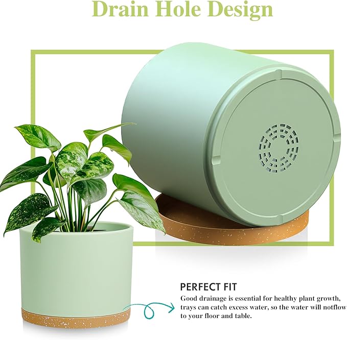 Large Plant Pots Set of 3 – 8", 9", 10" Indoor Flower Pots with Drainage Holes and Saucers, Big Planters for Monstera, Fiddle Leaf Fig, Snake Plant – 5 Colors