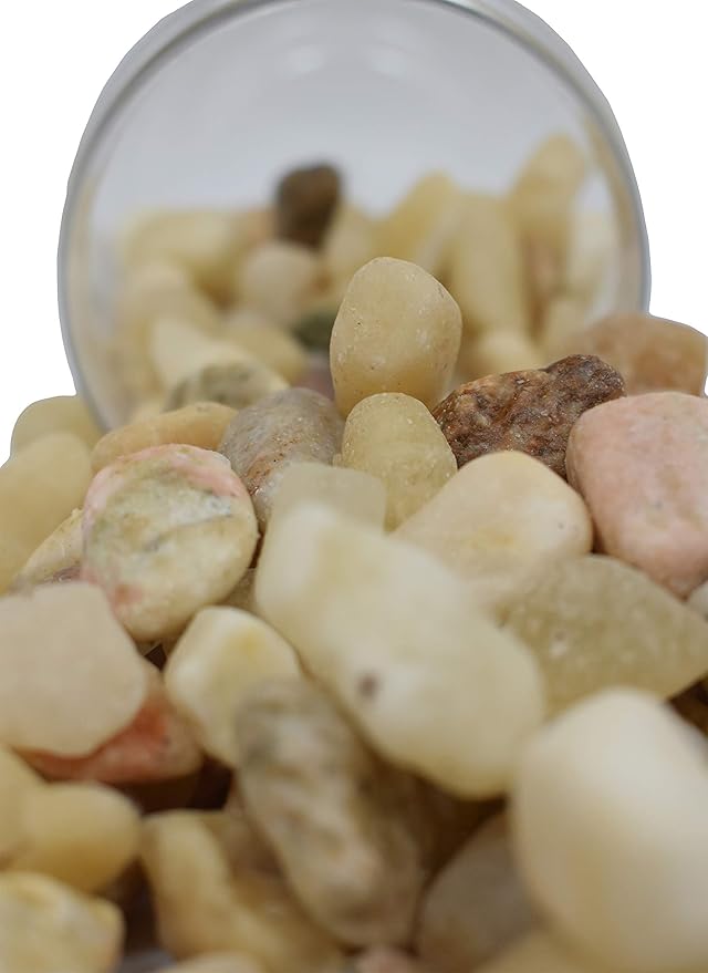 Around 2 Pounds of Decorative Stones Perfect for Aquariums, Vase Fillers, Table Scatter, Scrapbooking and Much More! Beautiful Gems! (Assorted Natural River Rocks)