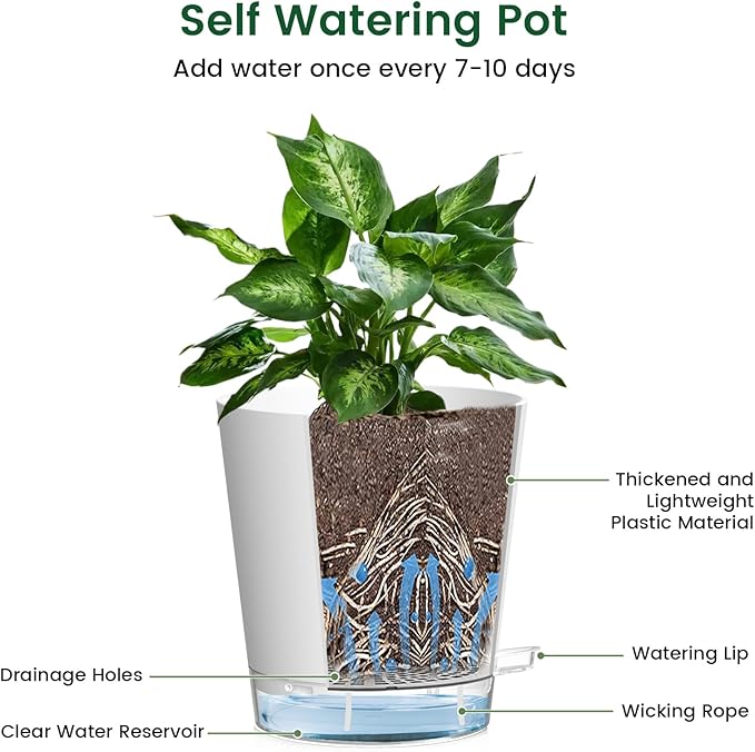 8 inch Self Watering Pots for Indoor Outdoor Plants, 2 Pack Flower Plant Pots with Drainage Holes & Clear Reservoir for Visible Water Level, Plastic Wicking Planters for House Plants, White
