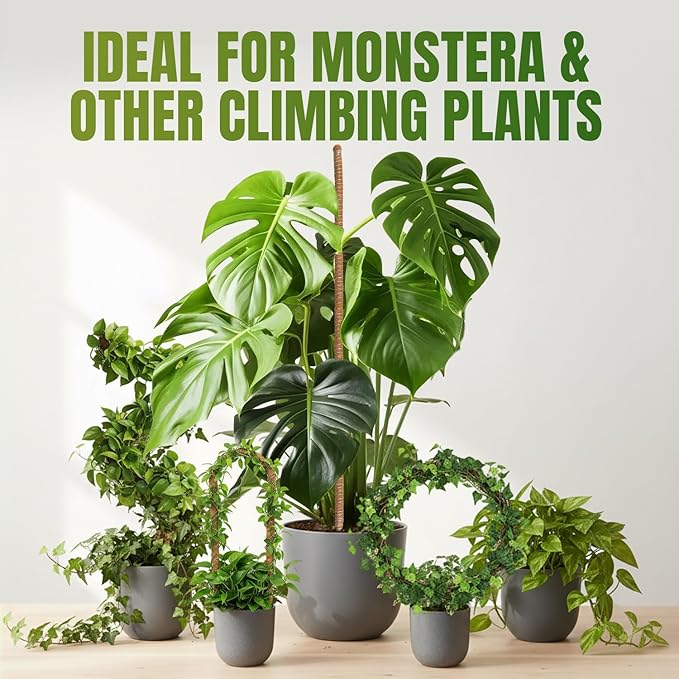 Mcbazel 2 Pack 63Inch Moss Pole for Plants Monstera, Plant Support Stick, Bendable Moss Poles Plant Support Stick for Climbing Plants, Stick Support Stake Kit for Potted Plants,Pothos,Philodendron
