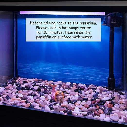 40 lbs Large River Rocks for Outdoor Landscaping, 2-3 Inch Natural Decorative Pebbles for Potted Plants Aquarium Fountain Garden Rocks and Yard Paving Stones