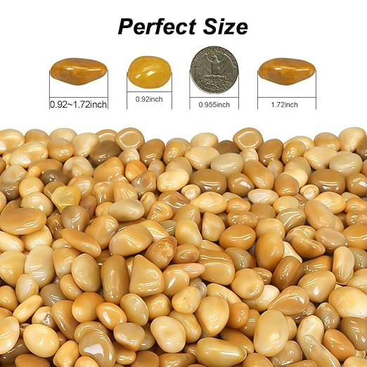 River Rocks Decorative Ornamental Pebbles Garden Landscaping Stones Gravel Filler for Home Decoration Flower Bed Fish Tank Plants Vases Succulents (10 Pounds)