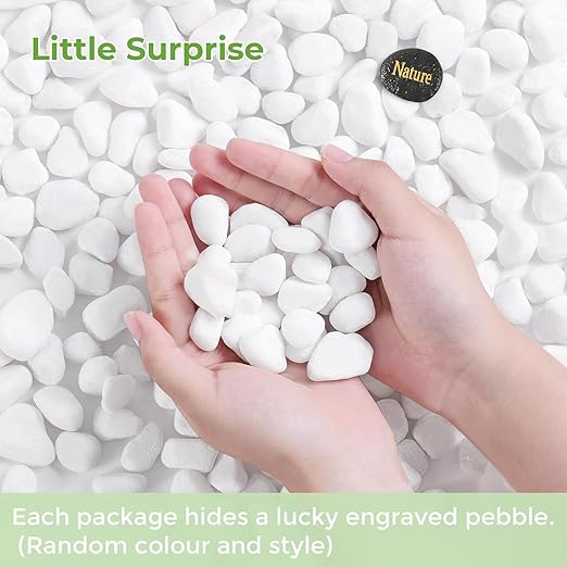 SIDONG 20 LB White River Rocks, 0.4-1.2 Inches Highly Polished Pebbles for Indoor Plants, Decorative Stones for Plants, Fish Tank, Vases, Home Décor, Crafting, Garden Landscaping