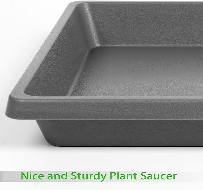 Plant Saucer 12 Inch Square 2 Pack, Plastic Plant Drip Trays, Plant Saucers for Indoors and Outdoors, Flower Pot Saucers, Saucers for Potted Plants, Planter Saucer, Plant Water Catcher Trays for Pots
