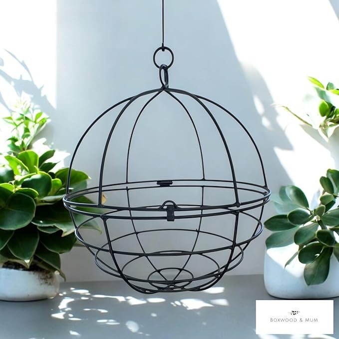 Large Wrought Iron Hanging Globe Planter – Amish Handmade Metal Sphere Plant Hanger for Indoor Outdoor Use – Clamshell Basket Style – Rustic Black Garden Patio Decor for Flowers, Ferns, Lanterns
