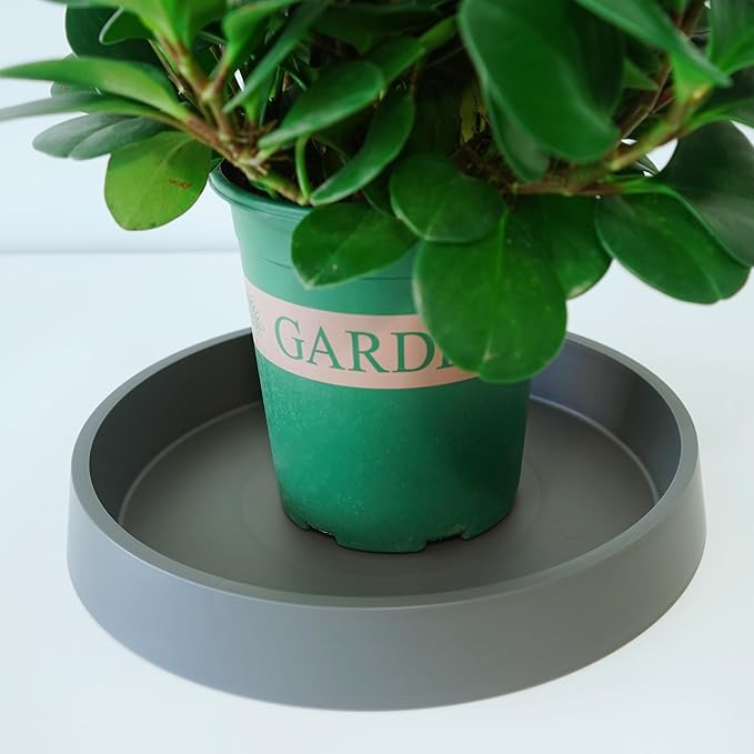 4 Pack Plant Saucer Tray for Ceramic Plastic Pots, 6 inch Plant Saucers for Indoors, Pot Saucers Trays, Flower Planter Water Drip Trays for Pots Base (6", Gray)