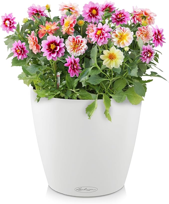 Lechuza Classico Color 43 White, Self-Watering Round Planter, D16.5 H15.7 in
