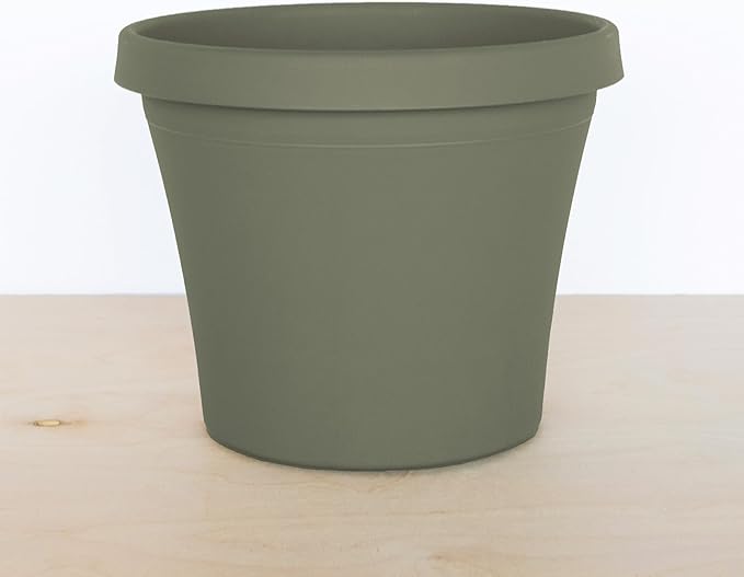 Bloem Terra 6" Diameter Round Living Green Resin Planter Pot with Drainage Holes for Indoor and Outdoor Gardening