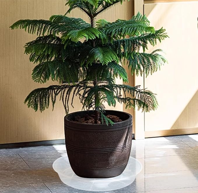 6 Pack of 22 inch Plant Saucer, Plant Tray 20 Inch Round, Plant Saucers for Indoors, Plant Trays for Pots, Flower Pot Saucers, Pot Saucers for Planter 17-23" (22", Clear)