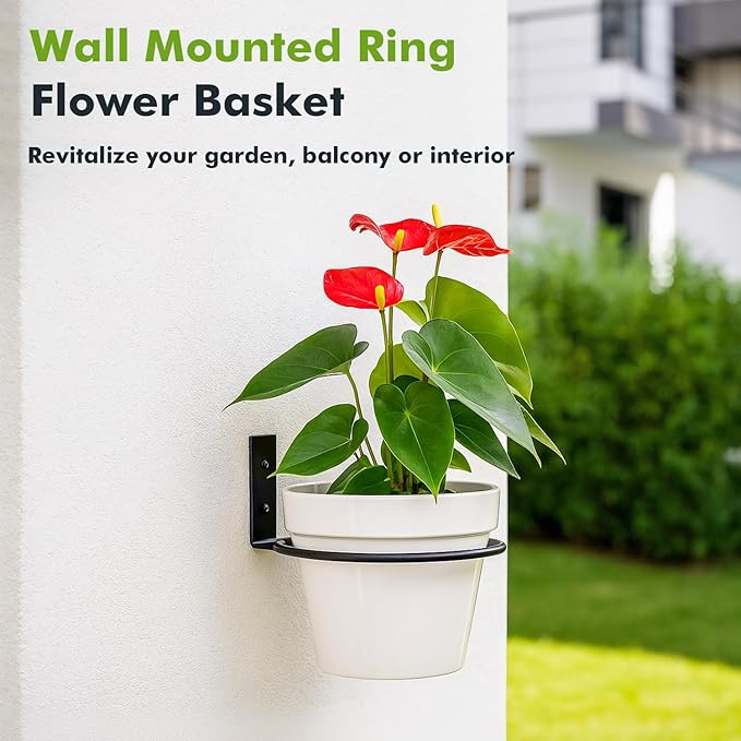 12-Pack 6 Inch Flower Pot Holder Ring Hanging Plant Holder Wall Mount Metal Plant Hangers Indoor Outdoor Planter Hooks Brackets for Patio, Garden, Home, Matte Black