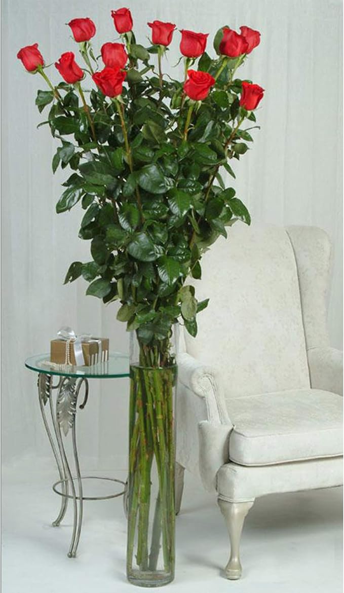 WGV Cylinder Vase, Width 6", Height 24", Clear Tall Glass Container Terrarium Candle Holder for Wedding Centerpiece, Party Event, Home Office Decor, 1 Piece