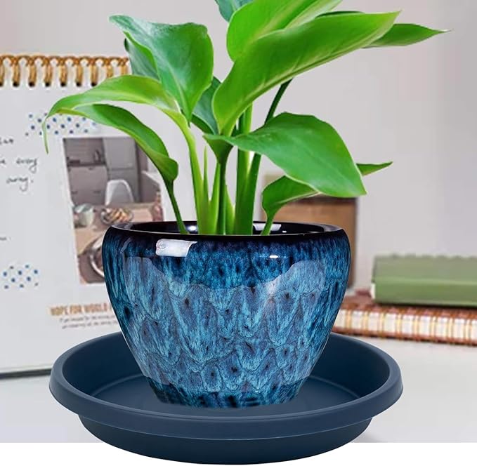 Plant Saucer 10 Inch Plastic Round 5 Pack Heavy Duty Drip Trays for Indoor Outdoor Pots