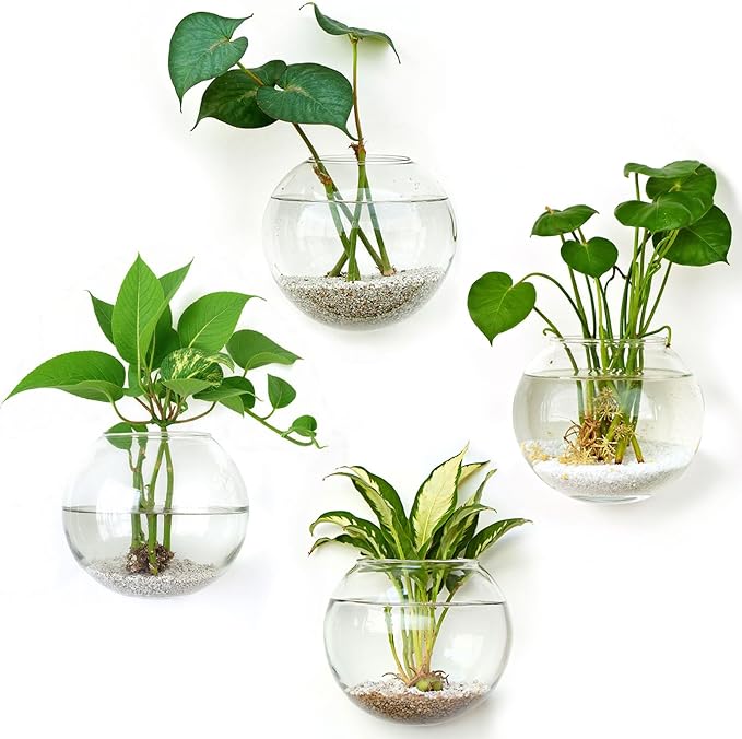 DomeStar 4PCS Wall Vases, Wall Mounted Hanging Glass Vases Clear Planter Terrarium Station for Hydroponics Plants Propagation Home Office Living Room Decor