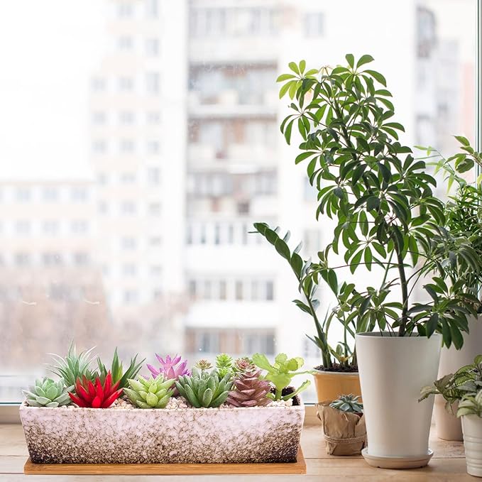ARTKETTY Succulent Pots - Large Succulent Planter Pots with Drainage, 12 Inch Long Rectangle Bonsai Pot with Bamboo Tray Shallow Ceramic Cactus Flower Planter Window Box for Home Garden Decor (White)