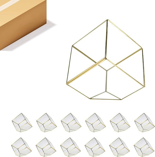 WGV Geometric Planter Terrarium Bulk, Width 8" Height 8.5" Clear Glass Gold Frame DIY Succulent air Plant Miniature Fairy Garden Windowsill Tabletop Decor, Tilted Cube 12 Pieces