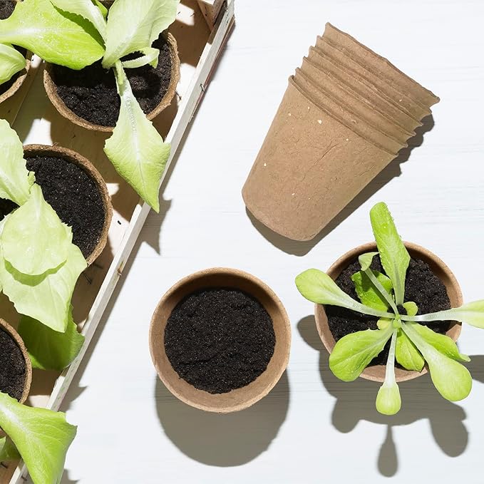 3T GROUP 100 Pack 3.15 Inch Mini Pot for Plants,Small Compostable Planting Pots,Biodegradable Disposable Flower Pots for Vegetables,Fruit with 100 Labels,Tool (100pcs)