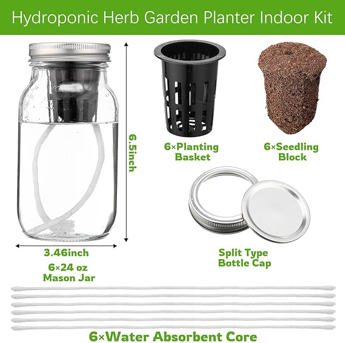 6 Set Hydroponic Herb Garden Planter Indoor Kit, Include 6 Self Watering Mason Jars 6 Planting Baskets 6 Pre Sown Growth Plugs and 6 Absorbent Cores Herb Growing Kit for Practical Gardening