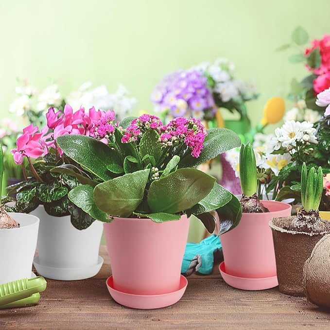 Cute 4 Inch Mini Flower Pots - Set of 10, White & Pink, Suitable for Indoor and Outdoor Plants, Made of Durable Plastic