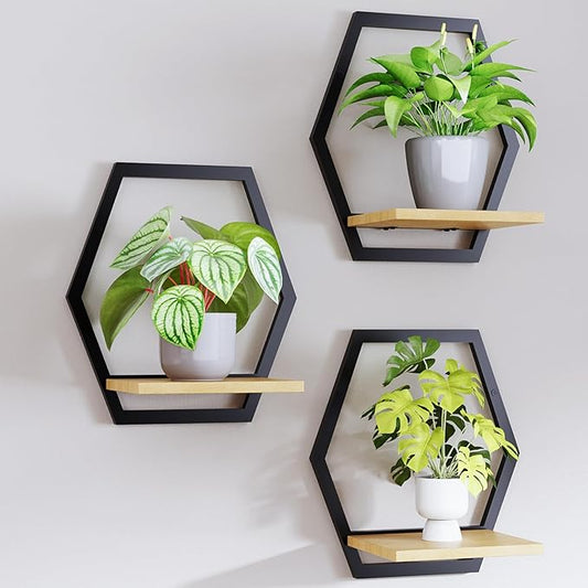 Modern Black Hexagon Wall Planters with Solid Wood Shelves Set of 3 Geometric Floating Wall Decor for Indoor Plants, Stylish Wall Mounted Display for Succulents & Small Plants