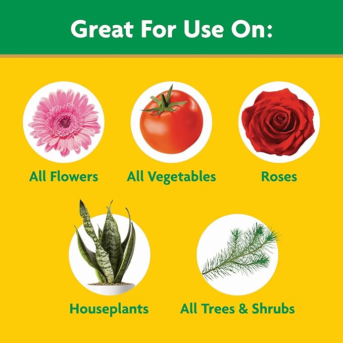 Miracle-Gro Water Soluble All Purpose Plant Food, Fertilizer for Indoor or Outdoor Flowers, Vegetables or Trees, 3 lbs.