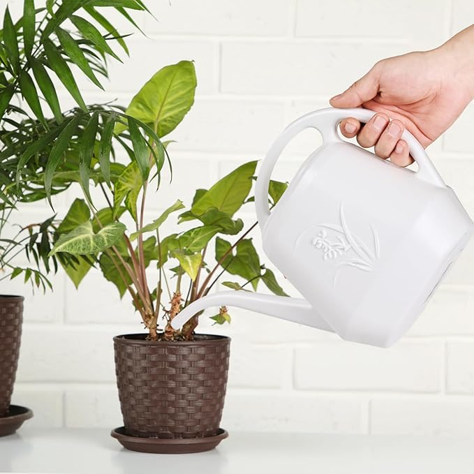 Plastic Watering Can - for Indoor and Outdoor Plant - 1/2 Gallon - White
